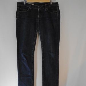 Express X2 Jeans Denim Skinny 4 Reg Ultra Low